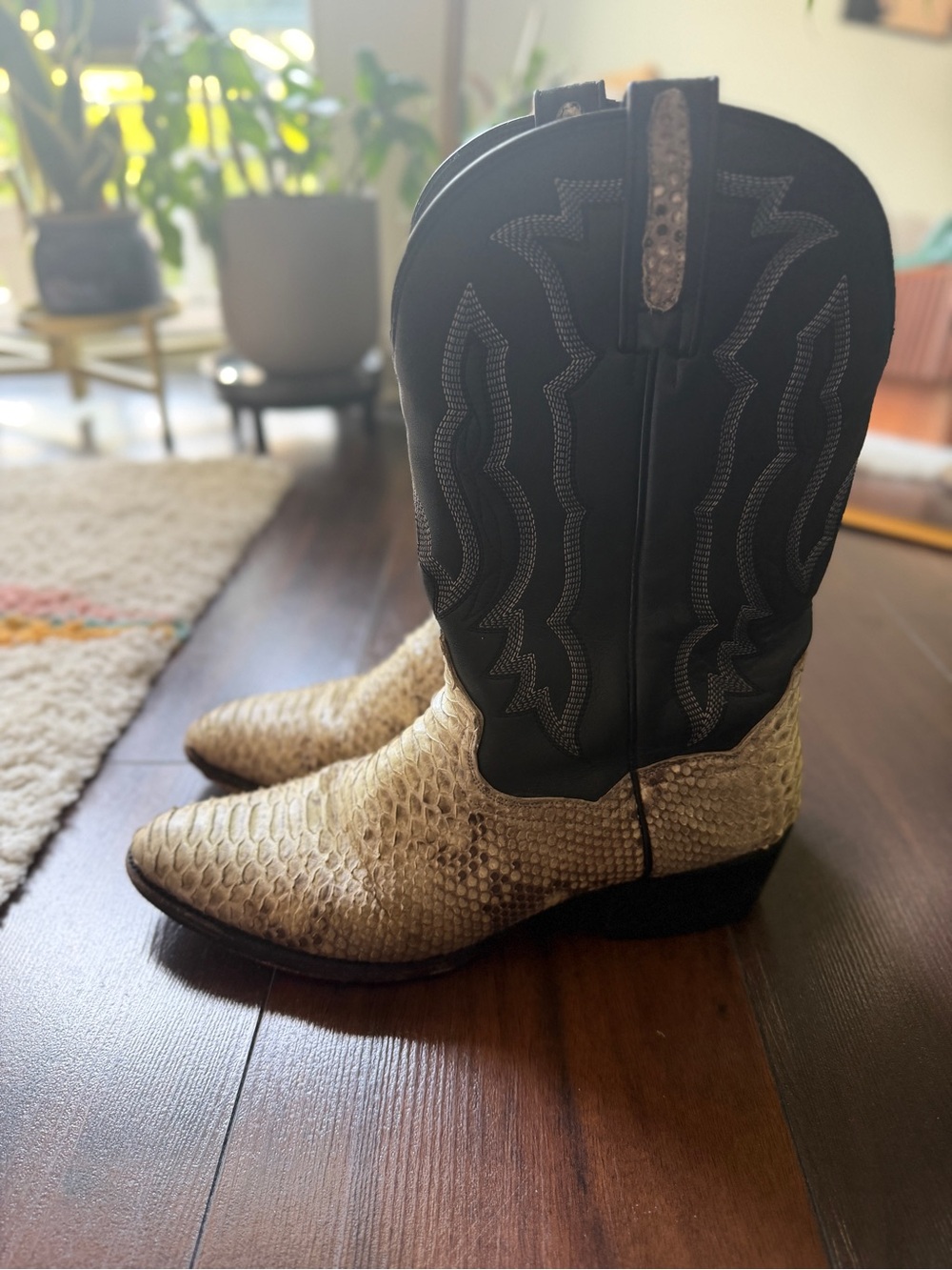Dan Post Python Cowboy Boots | Men’s 9D - Picture 2 of 5